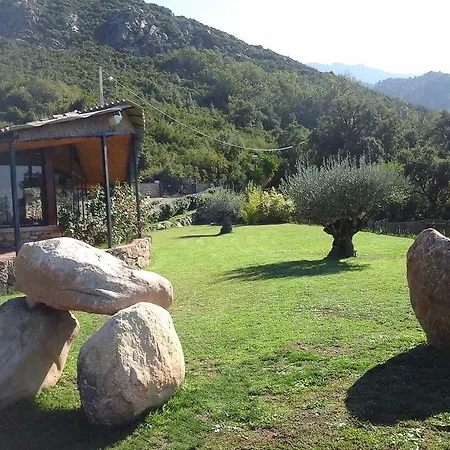 Camping Mobile A Saliva