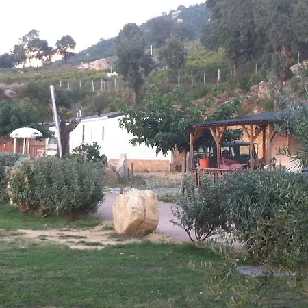 Mobile A Saliva