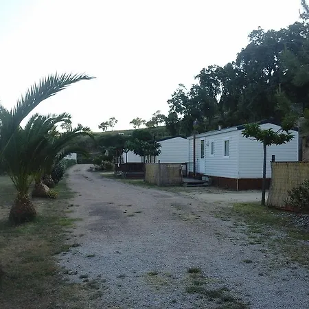 Mobile A Saliva Camping *